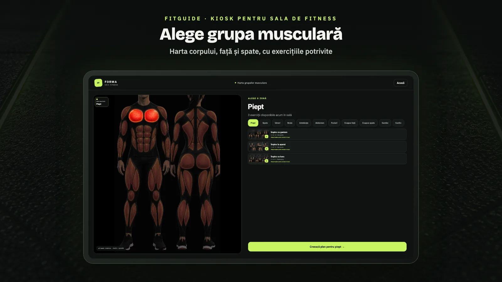 FitGuide: harta grupelor musculare